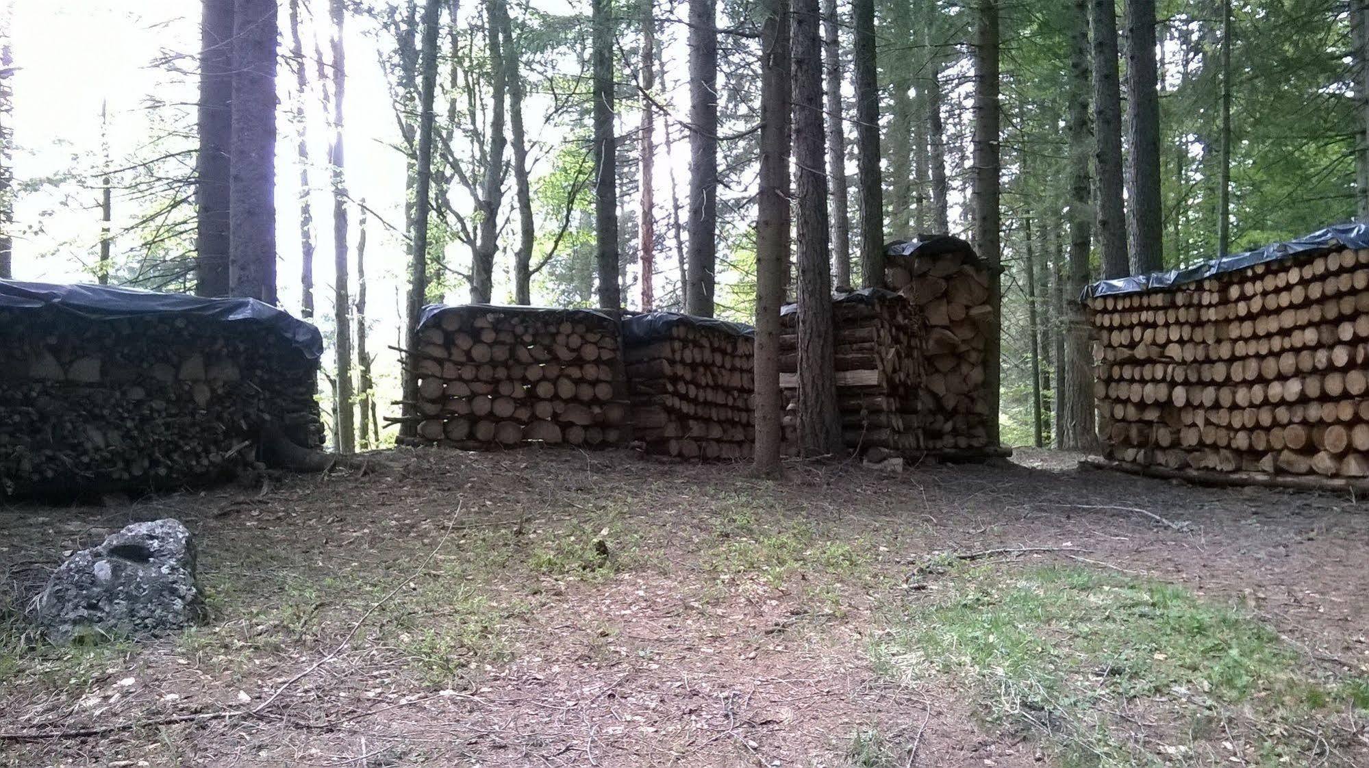 Hotel D'La Varda Di Topran D'Agata Paolo &C Sas Padola Kültér fotó